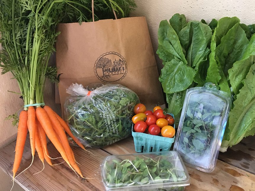 Top view of so many vegetables on the table