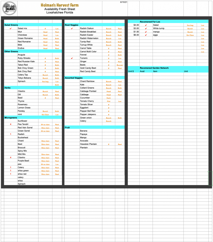 A spreadsheet showing a list of items in a spreadsheet.