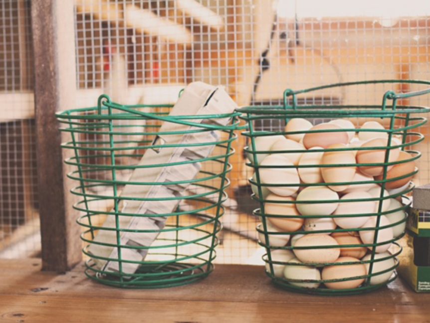 Close up image of two buckets kept together