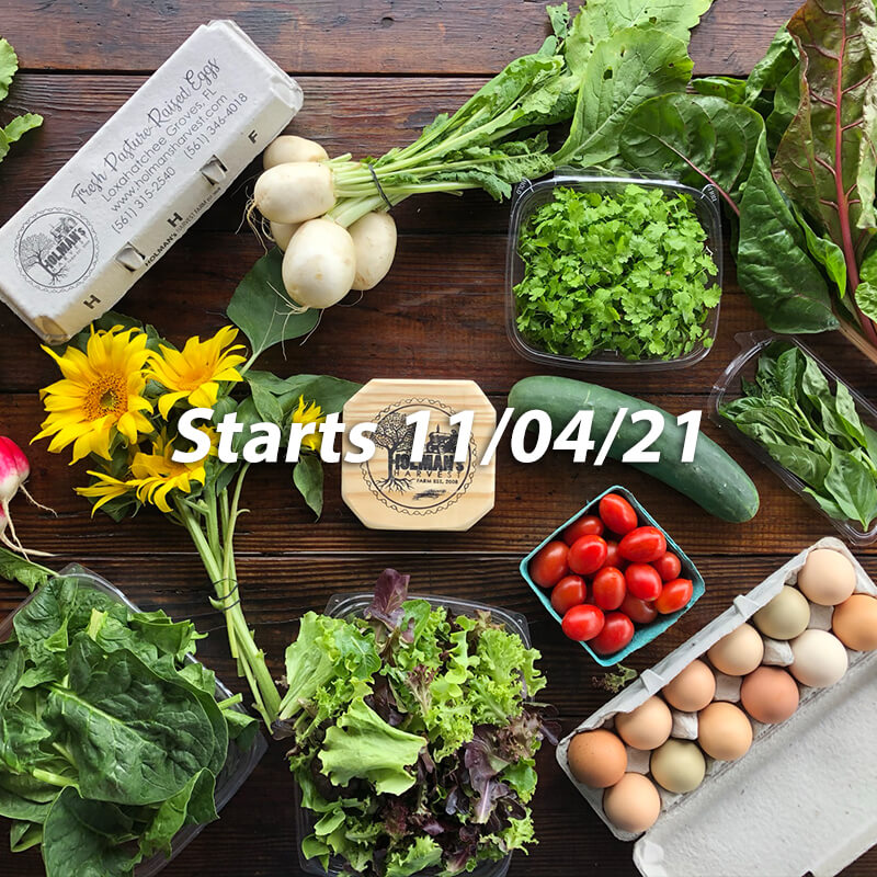 Top view of so many vegetables on the table