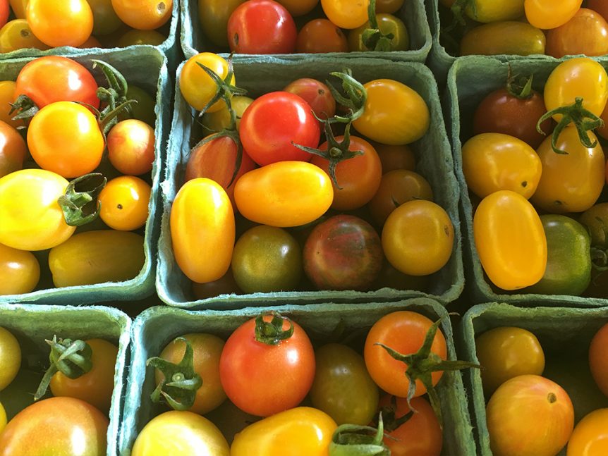 A bunch of tomatoes in a basket.