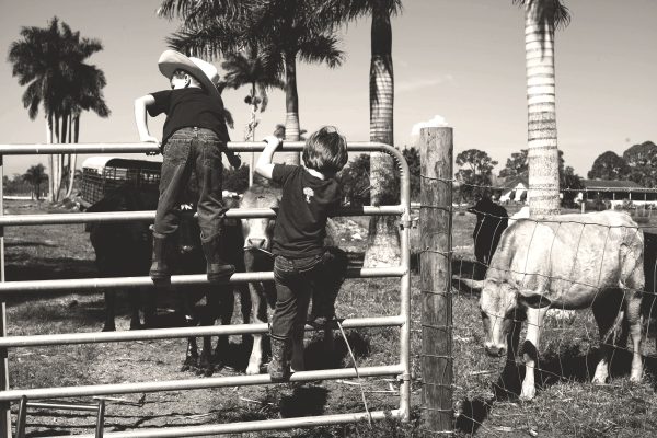 Holman's Harvest Farm Dinner - Image 3